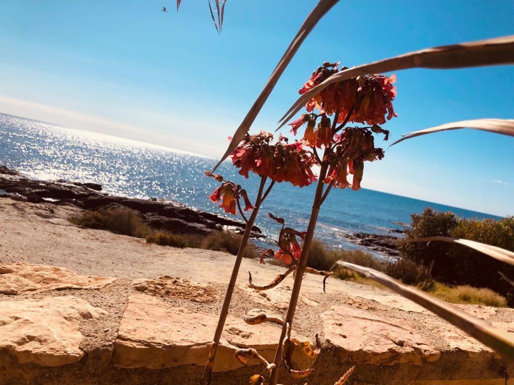 Villa Mangata Cuevas del Almanzora Eksteriør bilde